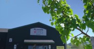 Ballots due back for Missoula Municipal Election