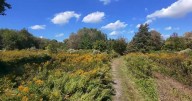 Grassroots group to host "Walk & Talk" at Philadelphia's FDR Park calling for preservation of green space