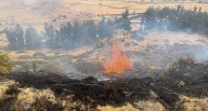 Arequipa: Incendio forestal no puede ser controlado desde hace tres días, en Cotahuasi
