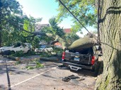 Massive tree branch snaps off, damages vehicles parked on Staten Island street