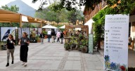 Expo Jardines 2025 – Paisajismo Consciente
