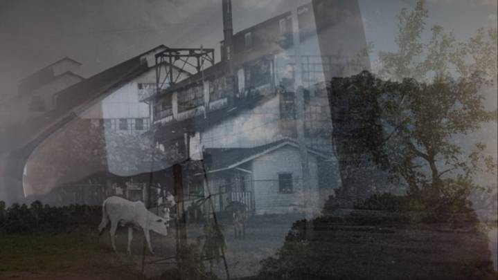 Susana de Sousa Dias to Be Guest of Honor at Documentary Festival IDFA