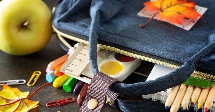 ❌ ✅ Encuesta | ¿Cuánto ha gastado en la vuelta al cole?