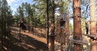 Arizona’s largest zip line course soars in the pines of Flagstaff