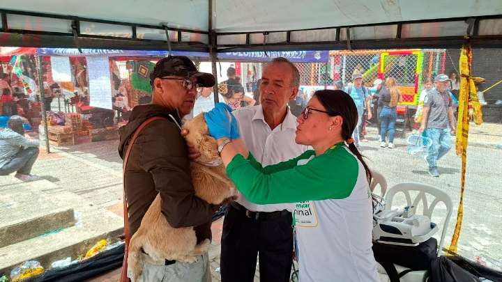 Jornada de bienestar animal benefició a 180 mascotas en Buesaco