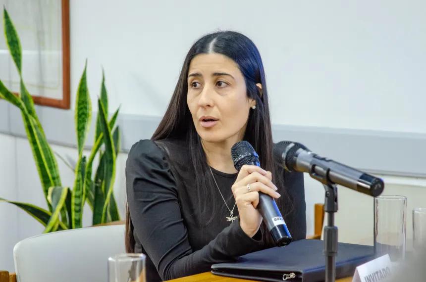 Avanza en la Legislatura una modernización del Consejo de Ciencias Económicas