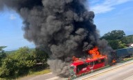 Se calcina ADO en carretera de Córdoba, Veracruz