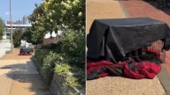 Missouri Staff Was Shocked To Realize What Was Inside Abandoned Crate Covered With Black Tarp