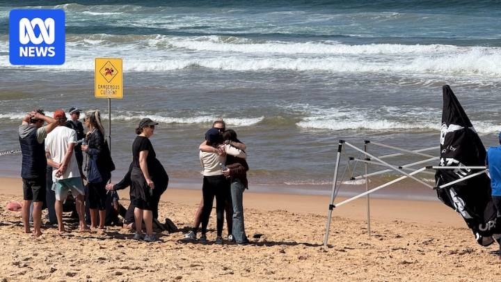 White shark likely responsible for killing Sydney surfer Mercury Psillakis