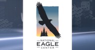 Wabasha's eagle event offers sunset cruise and local flavors