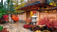 Anderson Japanese Gardens named Illinois’ top garden