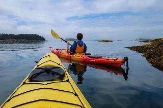 The Outer Banks Voice -   Kayaking at the Currituck County Rural Center