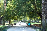 Ranking internacional. Cuánto cuesta vivir en el barrio porteño que fue elegido entre los más cool del mundo
