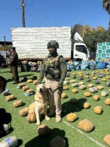 1.878 kilos de drogas transportados en camión fueron interceptados por Carabineros *Valuada en la suma de  $ 19.496.880.000.