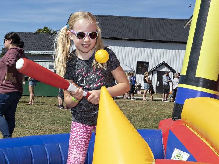 Donnybrook Fair in Walsh marks 166 years of fall fun