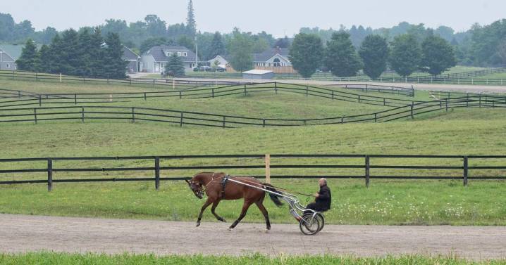 Photo feature: A summer morning at Fellows farm