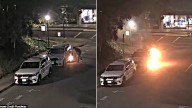 Anti-Israel California arsonist slapped with 235