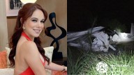 Fallece en accidente de avioneta Débora Estrella, conductora de televisión de Nuevo León