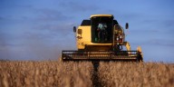 Tras la quita de retenciones, el Gobierno sostuvo que el campo es “prioritario” y lo consideró como “aliado”