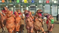 Third annual Jurassic Charity Races happening this weekend at Belterra Park
