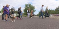 Two Harbors celebrates 13th annual Bev Bright memorial Pet Walk