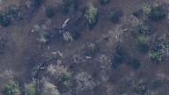 1 dead in plane crash near Mount Hamilton: Sources