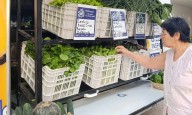 “Soberanía Alimentaria” estará mañana en La Nueva Formosa