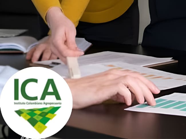 Tribunal suspendió provisionalmente concurso de méritos convocado por ICA al encontrar inconsistencias
