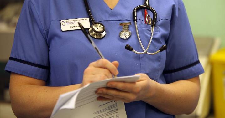 'Dishonest' London nurse 'blamed for patient death' took second job while 'sick' and faked timesheets