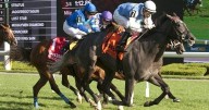Hall of Fame trainer Attfield chases 10th career Breeders’ Stakes win with Ciunas