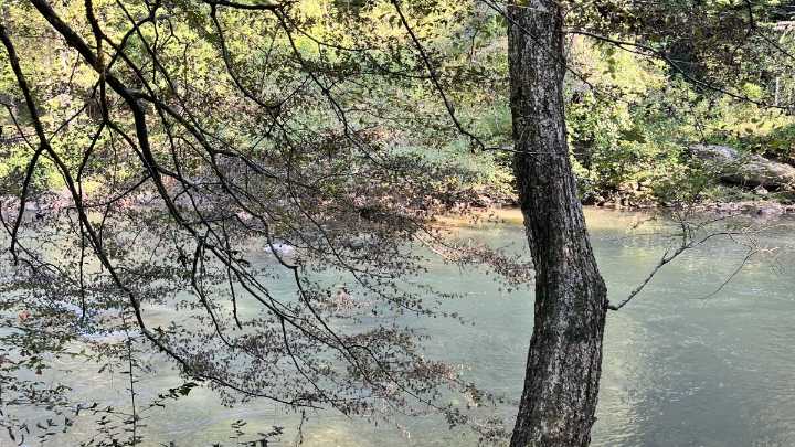 Oconee River Land Trust launches conservation of Middle Oconee River