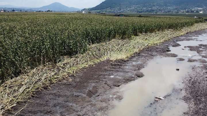 Lluvias afectan a 3 mil productores en el Estado de México