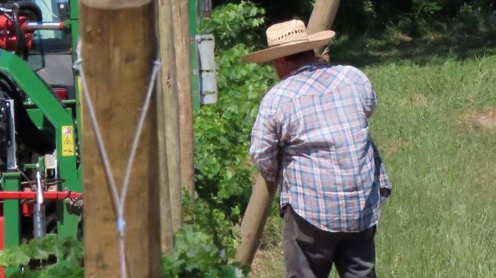 Musings: Fond childhood memories of migrant workers remain