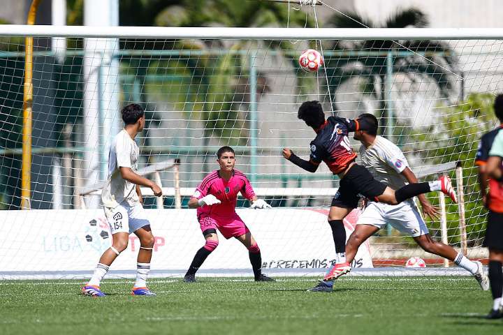 Lechuzas debuta con triunfo