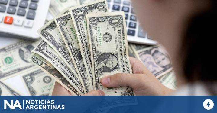 El atesoramiento de los argentinos en moneda extranjera supera los US$254.000 millones