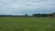 Entrega de tierras prometida en el acuerdo de paz podría tardar 400 años en completarse