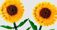Lego se pinta de amarillo para regalar flores que no se marchitan