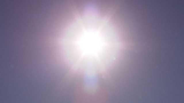 South Carolina: Endless sunshine