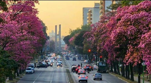 Tucumán, entre las diez ciudades más calurosas del país