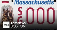 Massachusetts K9 license plate is tribute and fundraiser