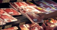 Parasite crisis impacts cattle exports near Texas