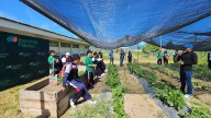 La tierra como aula: Jóvenes cultivan conocimientos a través de Huertos Comunitarios
