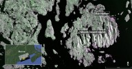 First radar images from new Earth-mapping satellite showcase Maine coast and Minnesota farmland