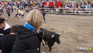Tradición, pasión y controversia: Tordesillas vive este martes una nueva edición del Toro de la Vega