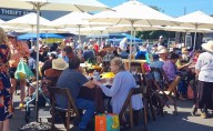 Community celebrates Grey Bears 52nd Harvest Festival in Live Oak