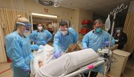 Healing emotional scars: OSU receives major grant for trauma recovery study