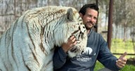 Animal handler linked to Joe Exotic killed by tiger at Oklahoma preserve