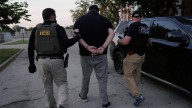 More than 400 arrests made in Chicago area operation so far, top immigration official says