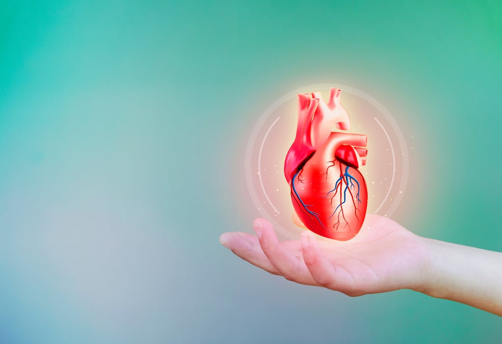 Día Mundial del Corazón: las enfermedades cardiovasculares son la principal causa de muerte a nivel global