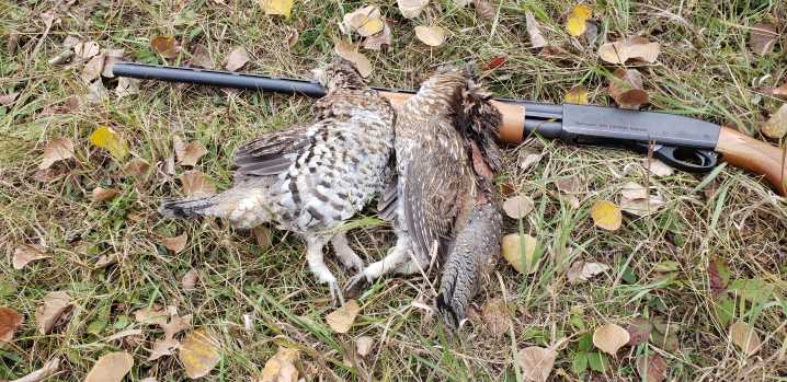 Minnesota DNR reports slight dip in 2024 small game license sales